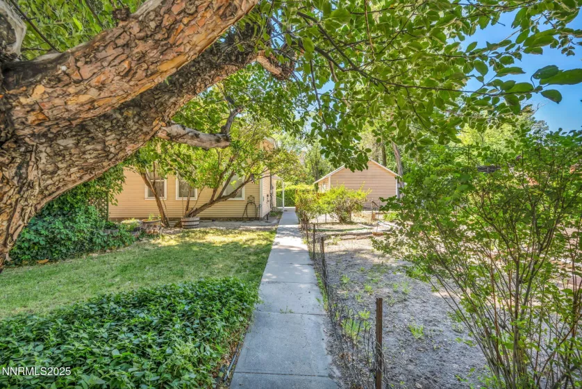 1012 Nevada, Carson City, Nevada 89703, 4 Bedrooms Bedrooms, ,1 BathroomBathrooms,Residential,Residential,Nevada,250052872