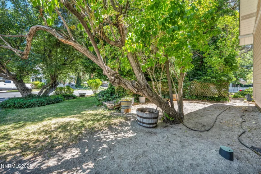 1012 Nevada, Carson City, Nevada 89703, 4 Bedrooms Bedrooms, ,1 BathroomBathrooms,Residential,Residential,Nevada,250052872