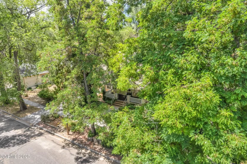 1012 Nevada, Carson City, Nevada 89703, 4 Bedrooms Bedrooms, ,1 BathroomBathrooms,Residential,Residential,Nevada,250052872
