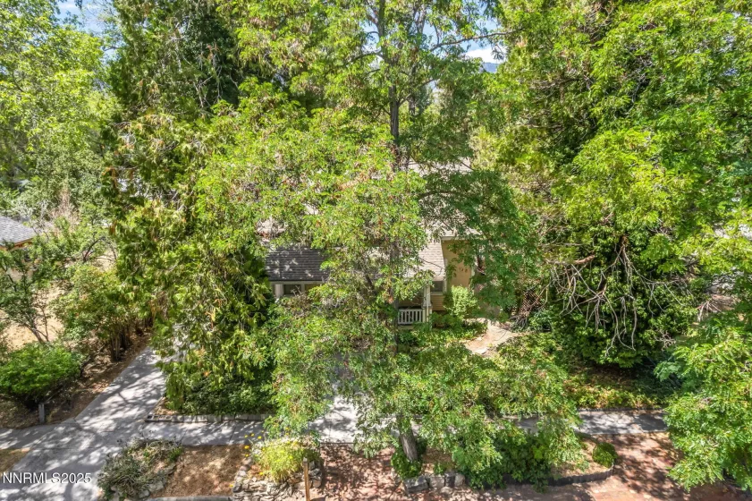 1012 Nevada, Carson City, Nevada 89703, 4 Bedrooms Bedrooms, ,1 BathroomBathrooms,Residential,Residential,Nevada,250052872