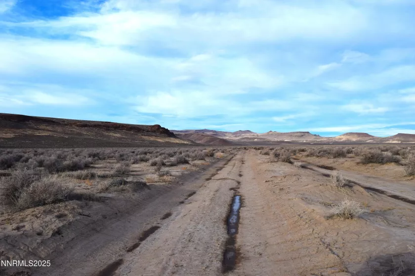 Road In looking North