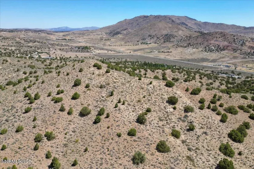 Property Line flagging