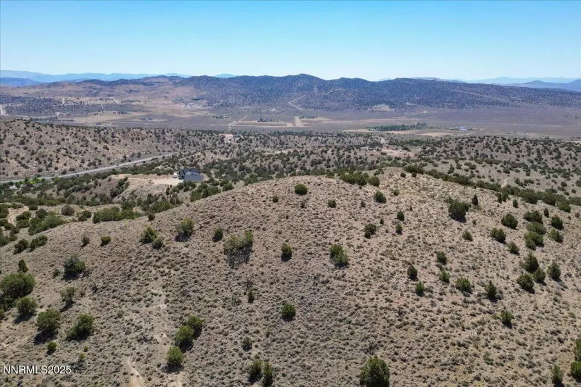 Property Line flagging