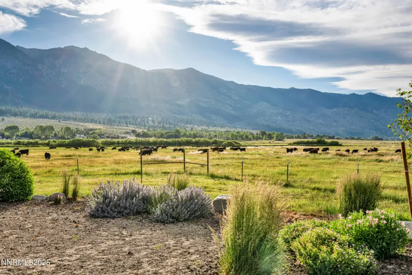 600 Artemesia, Gardnerville, Nevada 89460, 4 Bedrooms Bedrooms, ,4 BathroomsBathrooms,Residential,Residential,Artemesia,250052893
