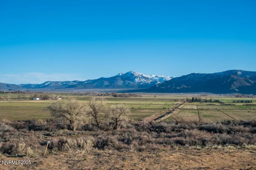 191 Artist View, Wellington, Nevada 89444, ,Land,Residential,Artist View,250052950