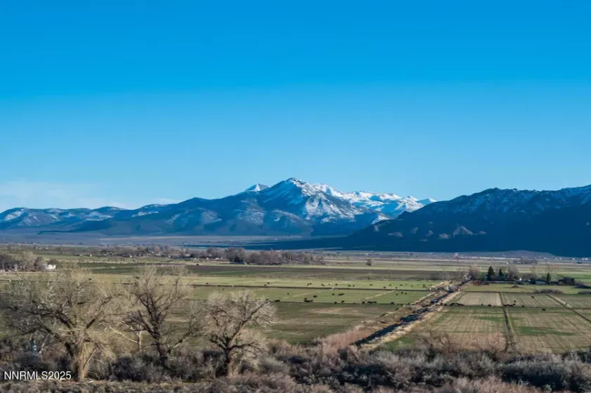 191 Artist View, Wellington, Nevada 89444, ,Land,Residential,Artist View,250052950