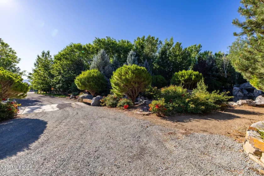 2680 Olive, Reno, Nevada 89511, ,Land,Residential,Olive,250052966
