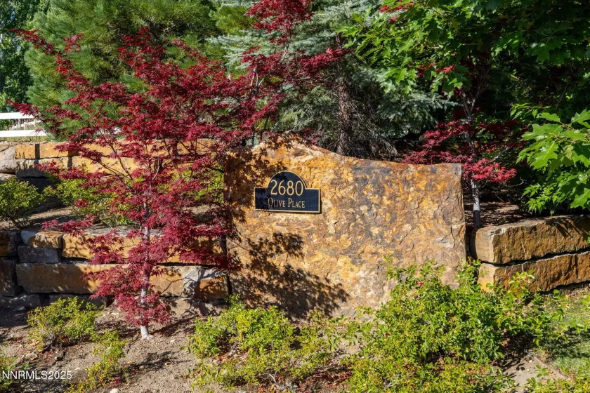 2680 Olive, Reno, Nevada 89511, ,Land,Residential,Olive,250052966