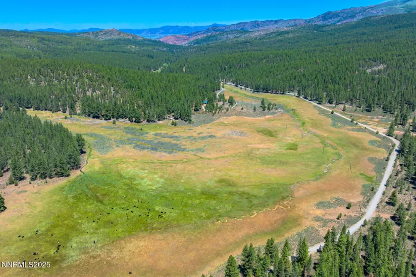 XXX Smithneck, Loyalton, California 96118, ,Land,Residential,Smithneck,250052976