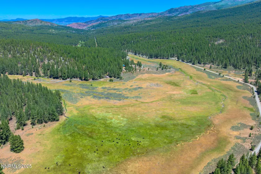 XXX Smithneck, Loyalton, California 96118, ,Land,Residential,Smithneck,250052976