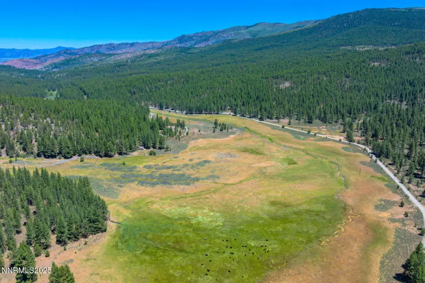 XXX Smithneck, Loyalton, California 96118, ,Land,Residential,Smithneck,250052976