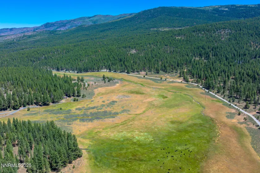 XXX Smithneck, Loyalton, California 96118, ,Land,Residential,Smithneck,250052976