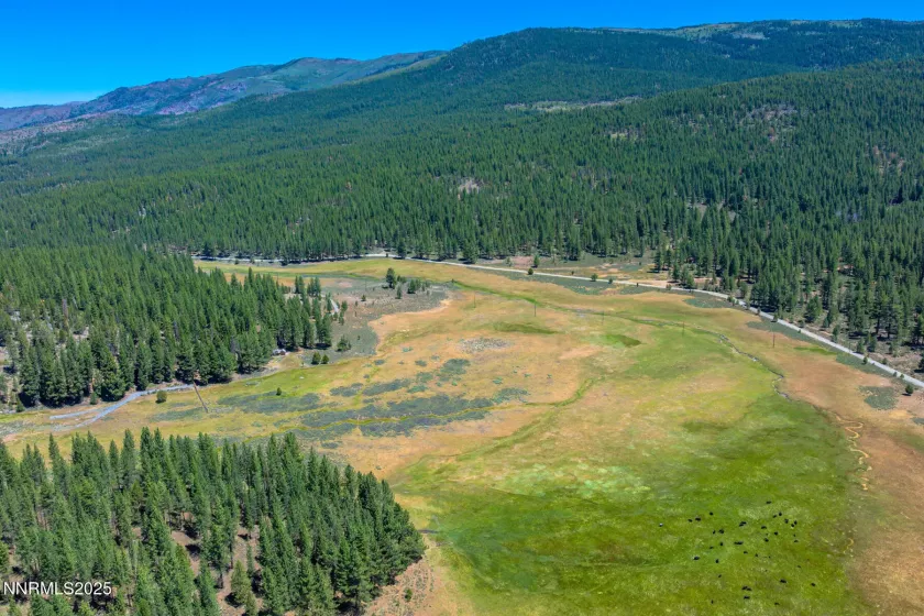 XXX Smithneck, Loyalton, California 96118, ,Land,Residential,Smithneck,250052976