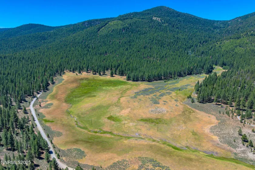 XXX Smithneck, Loyalton, California 96118, ,Land,Residential,Smithneck,250052976