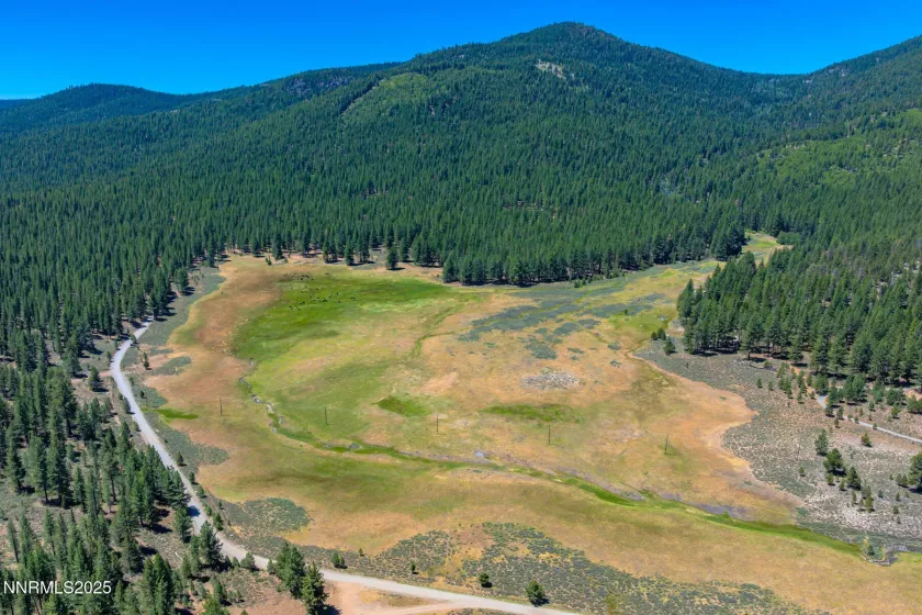 XXX Smithneck, Loyalton, California 96118, ,Land,Residential,Smithneck,250052976