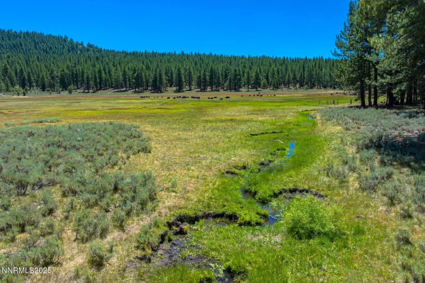 XXX Smithneck, Loyalton, California 96118, ,Land,Residential,Smithneck,250052976