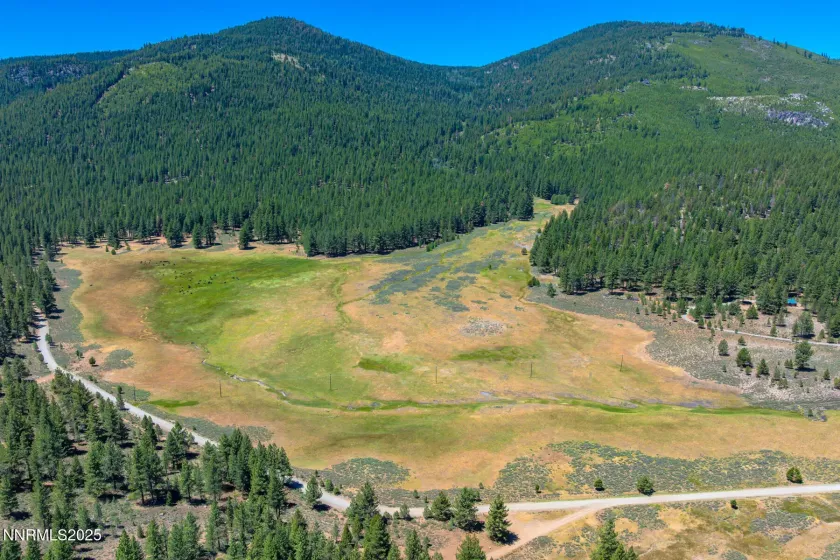 XXX Smithneck, Loyalton, California 96118, ,Land,Residential,Smithneck,250052976