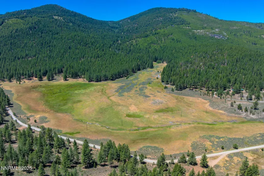 XXX Smithneck, Loyalton, California 96118, ,Land,Residential,Smithneck,250052976