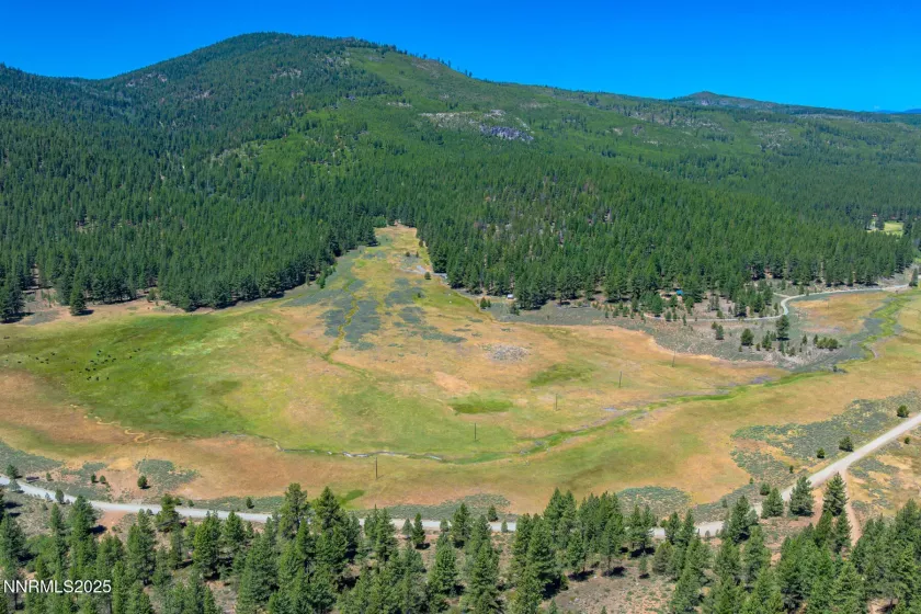 XXX Smithneck, Loyalton, California 96118, ,Land,Residential,Smithneck,250052976