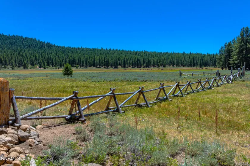 XXX Smithneck, Loyalton, California 96118, ,Land,Residential,Smithneck,250052976