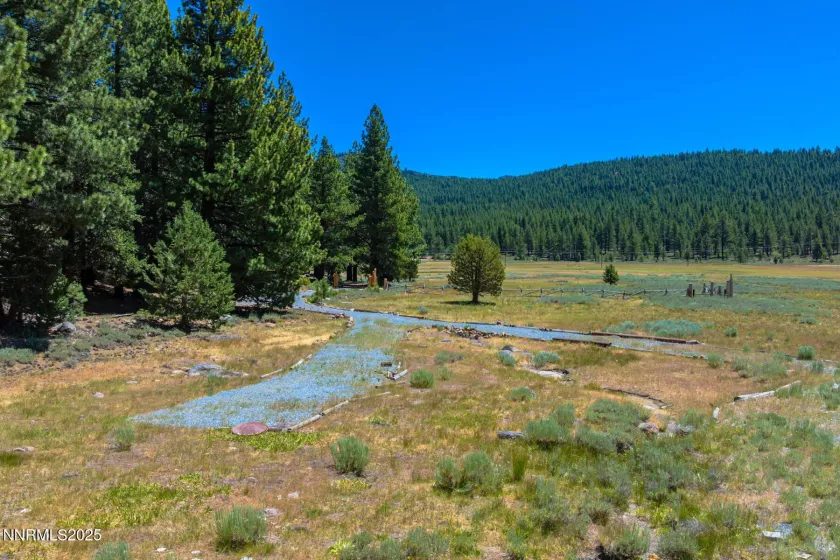 XXX Smithneck, Loyalton, California 96118, ,Land,Residential,Smithneck,250052976
