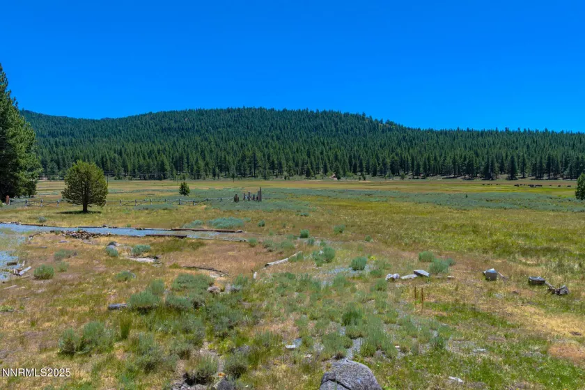 XXX Smithneck, Loyalton, California 96118, ,Land,Residential,Smithneck,250052976