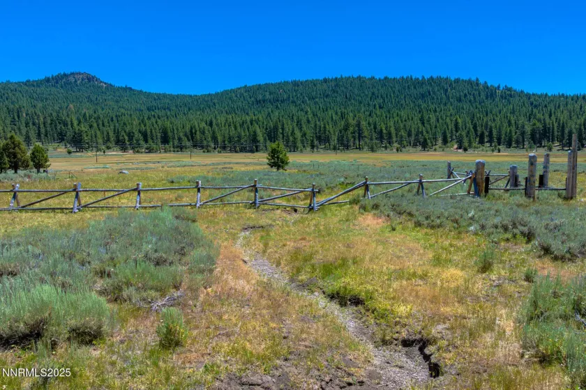 XXX Smithneck, Loyalton, California 96118, ,Land,Residential,Smithneck,250052976