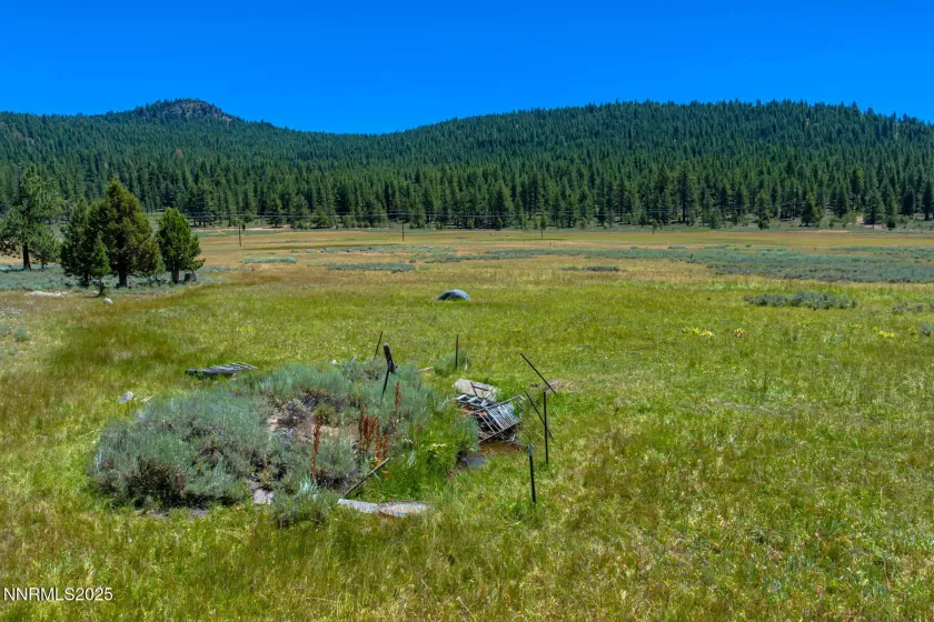XXX Smithneck, Loyalton, California 96118, ,Land,Residential,Smithneck,250052976