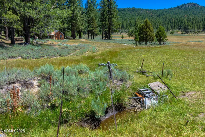 XXX Smithneck, Loyalton, California 96118, ,Land,Residential,Smithneck,250052976