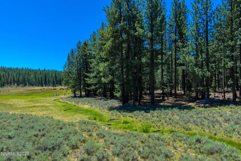 XXX Smithneck, Loyalton, California 96118, ,Land,Residential,Smithneck,250052976