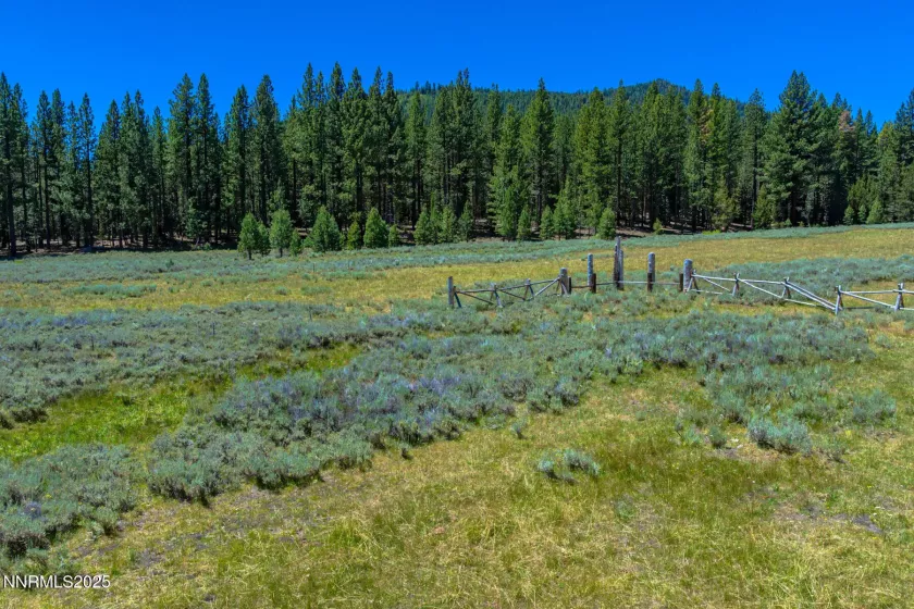 XXX Smithneck, Loyalton, California 96118, ,Land,Residential,Smithneck,250052976