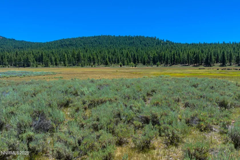 XXX Smithneck, Loyalton, California 96118, ,Land,Residential,Smithneck,250052976
