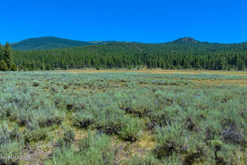 XXX Smithneck, Loyalton, California 96118, ,Land,Residential,Smithneck,250052976