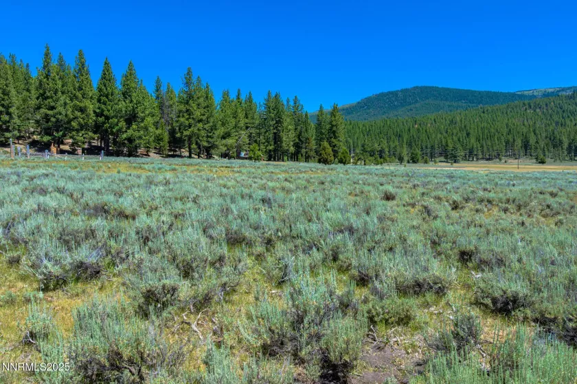XXX Smithneck, Loyalton, California 96118, ,Land,Residential,Smithneck,250052976