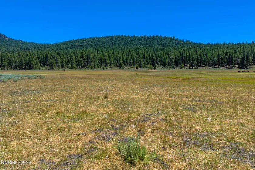 XXX Smithneck, Loyalton, California 96118, ,Land,Residential,Smithneck,250052976