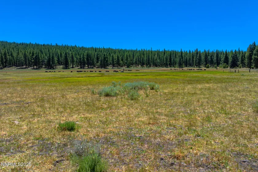 XXX Smithneck, Loyalton, California 96118, ,Land,Residential,Smithneck,250052976