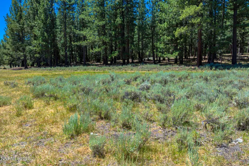 XXX Smithneck, Loyalton, California 96118, ,Land,Residential,Smithneck,250052976