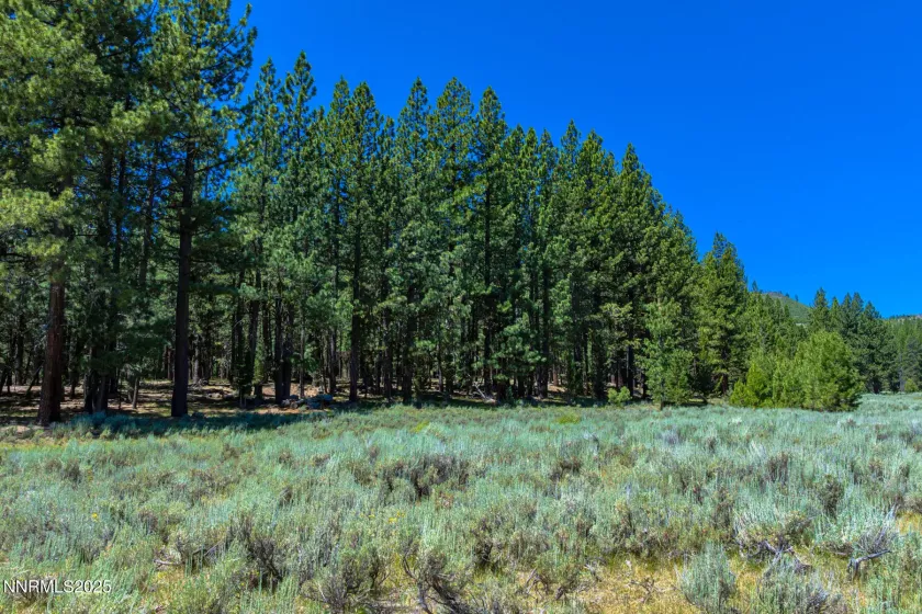 XXX Smithneck, Loyalton, California 96118, ,Land,Residential,Smithneck,250052976