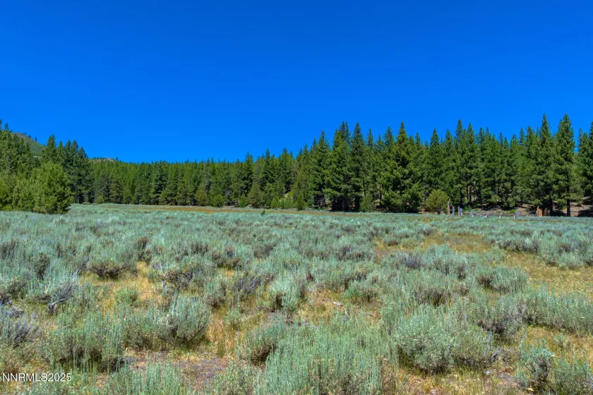 XXX Smithneck, Loyalton, California 96118, ,Land,Residential,Smithneck,250052976