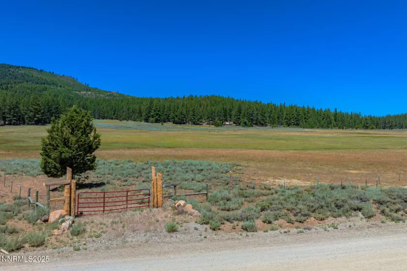 XXX Smithneck, Loyalton, California 96118, ,Land,Residential,Smithneck,250052976
