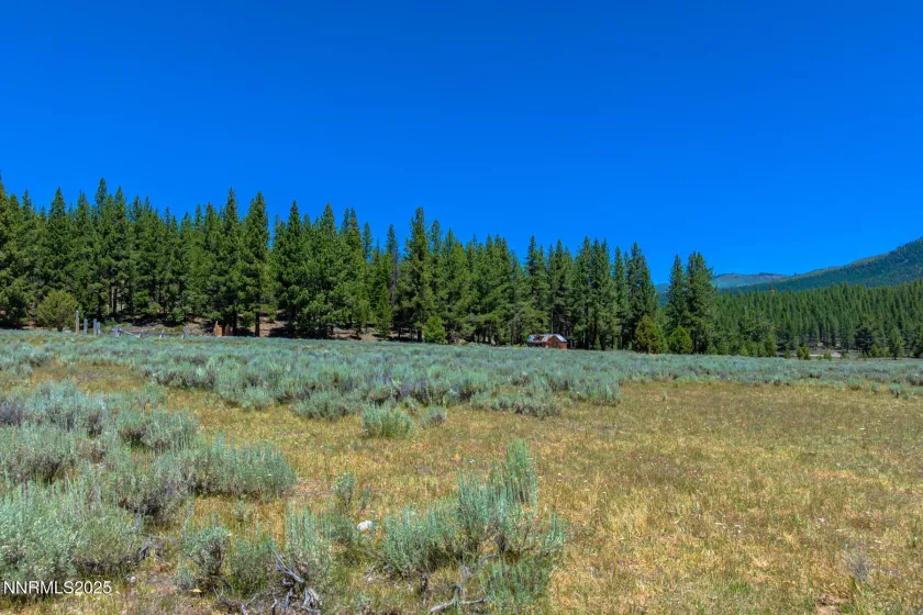 XXX Smithneck, Loyalton, California 96118, ,Land,Residential,Smithneck,250052976