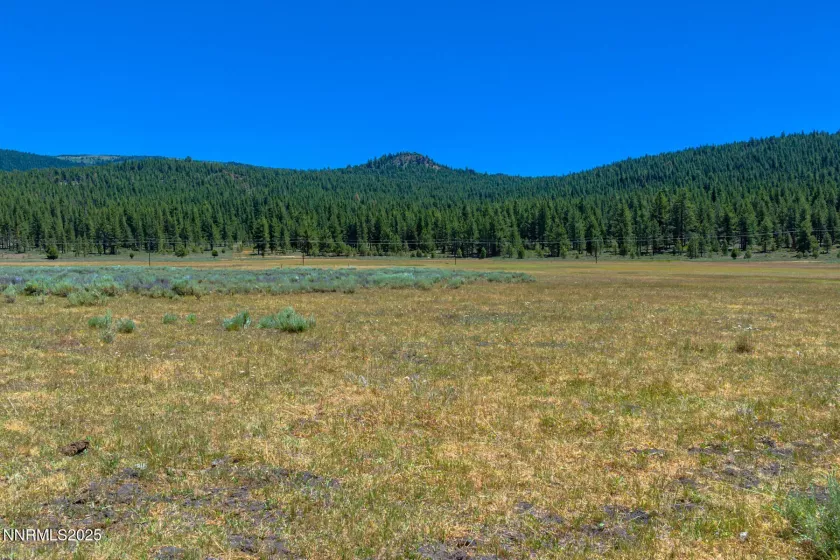 XXX Smithneck, Loyalton, California 96118, ,Land,Residential,Smithneck,250052976