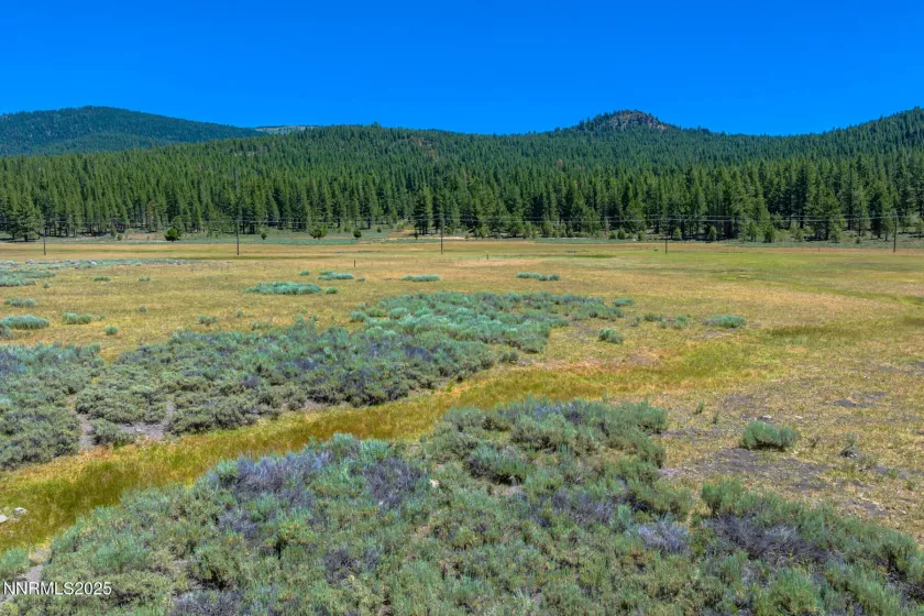 XXX Smithneck, Loyalton, California 96118, ,Land,Residential,Smithneck,250052976