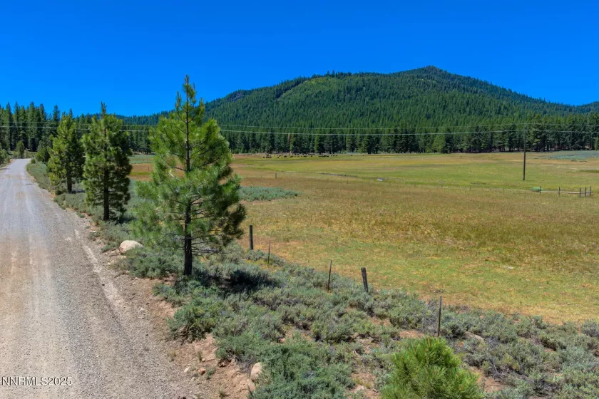 XXX Smithneck, Loyalton, California 96118, ,Land,Residential,Smithneck,250052976