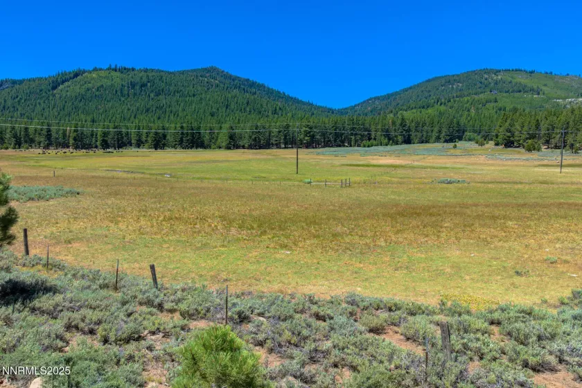 XXX Smithneck, Loyalton, California 96118, ,Land,Residential,Smithneck,250052976