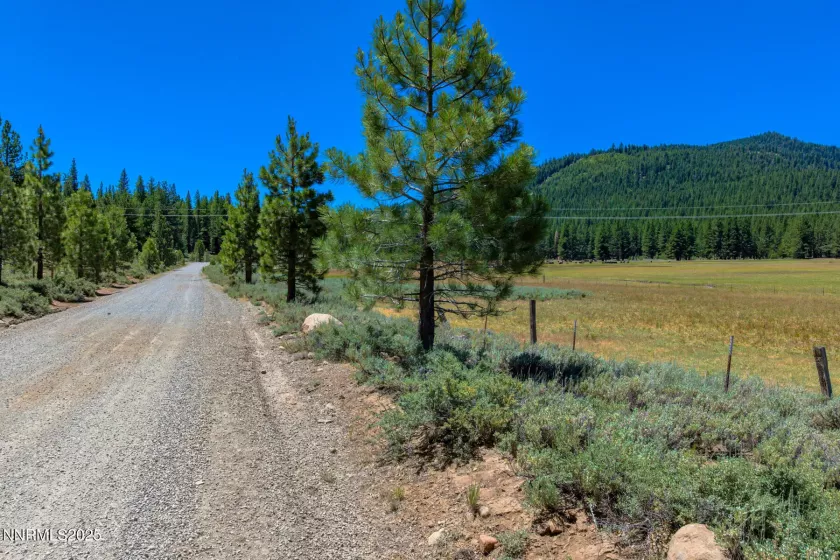 XXX Smithneck, Loyalton, California 96118, ,Land,Residential,Smithneck,250052976