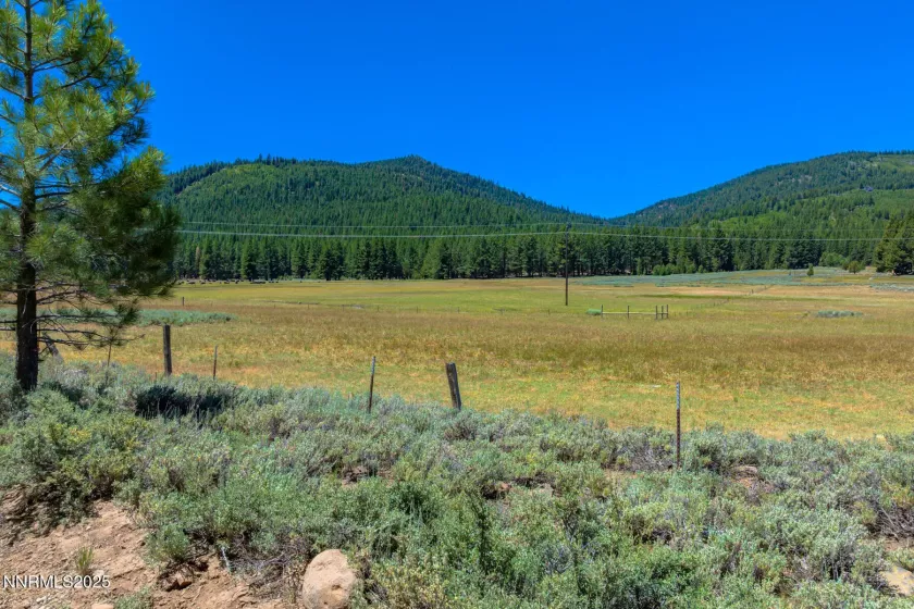 XXX Smithneck, Loyalton, California 96118, ,Land,Residential,Smithneck,250052976