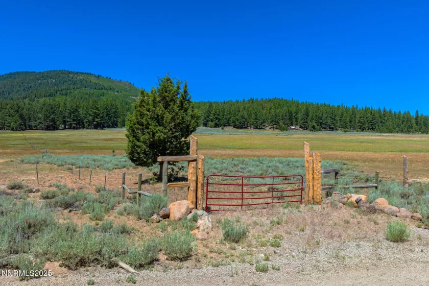 XXX Smithneck, Loyalton, California 96118, ,Land,Residential,Smithneck,250052976