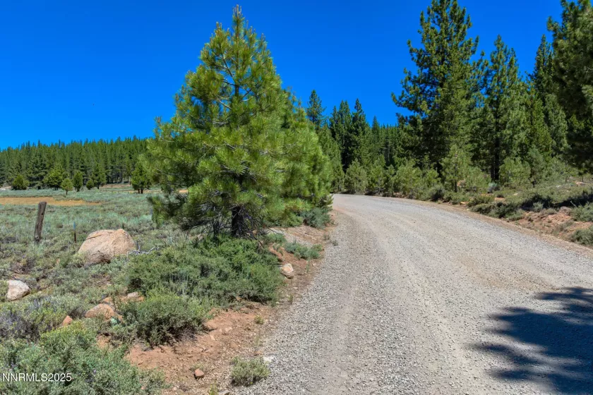 XXX Smithneck, Loyalton, California 96118, ,Land,Residential,Smithneck,250052976