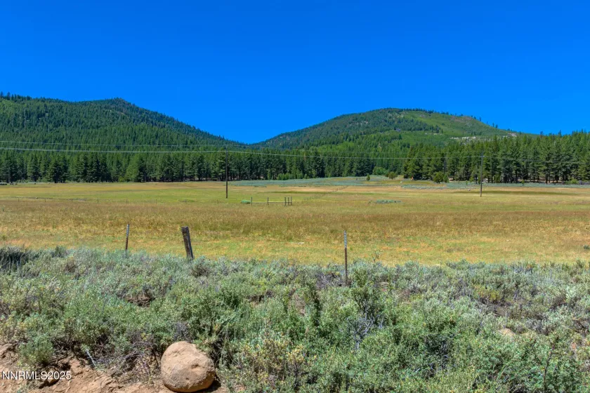 XXX Smithneck, Loyalton, California 96118, ,Land,Residential,Smithneck,250052976